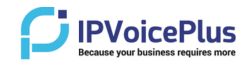 ipvoice (1)